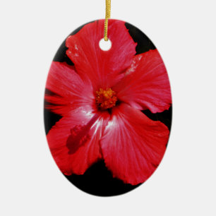 Ornement En Céramique Hibiscus rouge