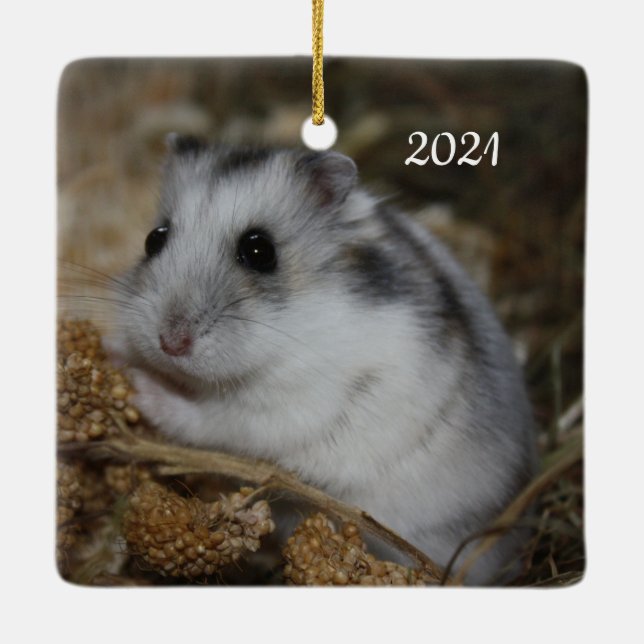 Ornement En Céramique Hiver White Nwarster Hamster Pet (Dos)
