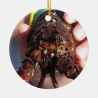 Homard vivant