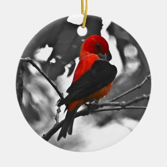 Ornement En Céramique Homme Scarlet Tanager (Devant)