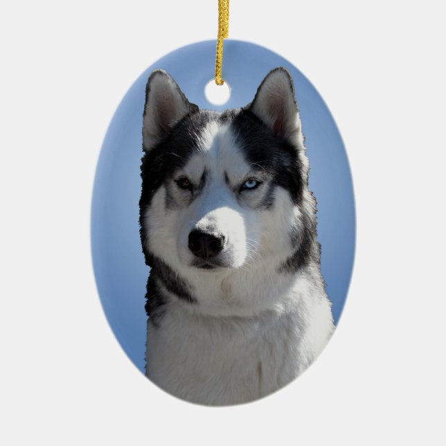 Ornement En Céramique Husky Orament Malamute Keepsaké Chiffres Cadeaux (Devant)