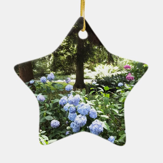 Ornement En Céramique Hydrangea Floral Trees Nature Photographie (Dos)