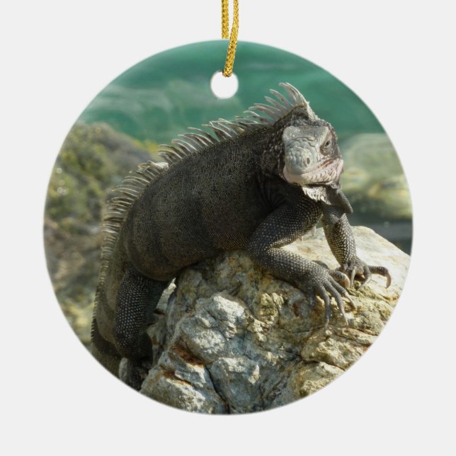 Ornement En Céramique Iguana sur les rochers à St. Thomas (Devant)