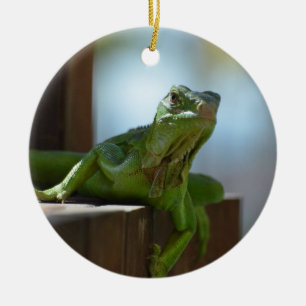Ornement En Céramique Iguane curieux