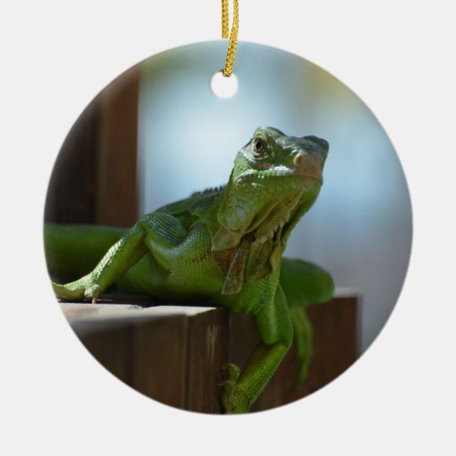 Ornement En Céramique Iguane curieux (Devant)