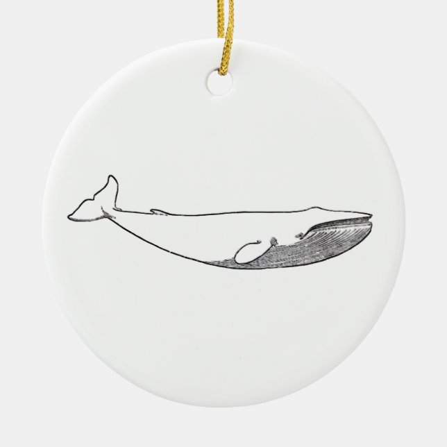 Ornement En Céramique Illustration de baleine bleue (schéma) (Devant)