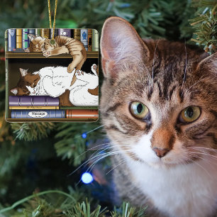Ornement En Céramique Illustration de bibliothèque de chats endormis mig
