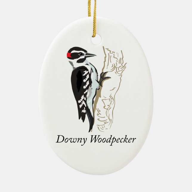 Ornement En Céramique Illustration de Downy Woodpecker (Dos)