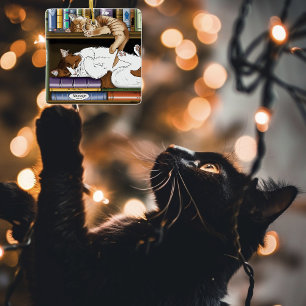 Ornement En Céramique Illustration d'une étagère à livres avec des chats