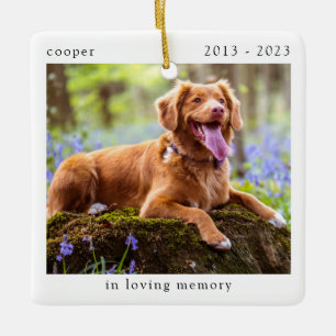 Ornement En Céramique In Love Memory Photo Pet Memorial