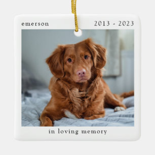 Ornement En Céramique In Love Memory Photo Pet Memorial
