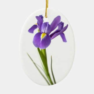 Ornement En Céramique Iris