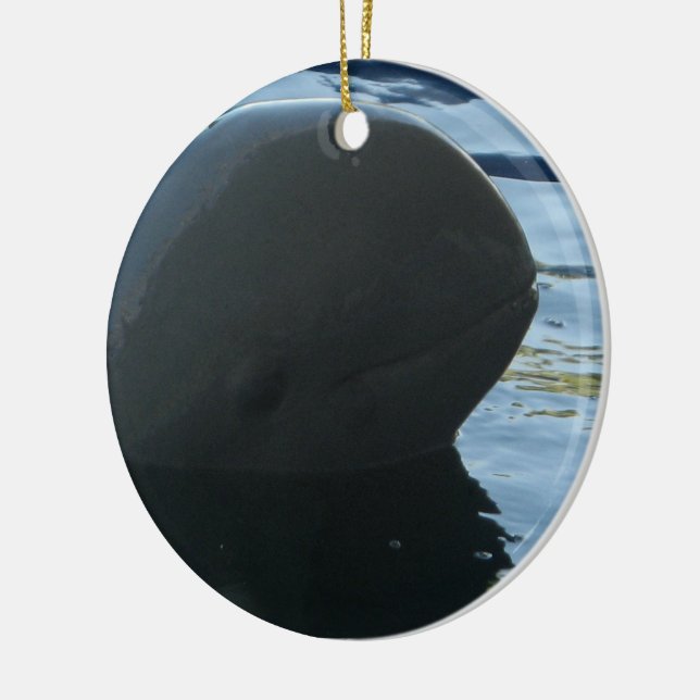 Ornement En Céramique Irrawaddy Dolphin Peek-A-Boo (Gauche)