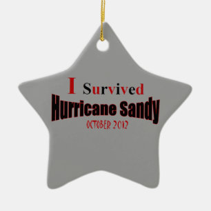 Ornement En Céramique J'ai survécu à l'ornement d'étoile de Sandy