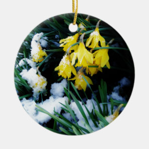 Ornement En Céramique Jaune Daffodils fleurs dans la neige