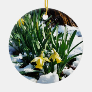 Ornement En Céramique Jaune Daffodils fleurs dans la neige