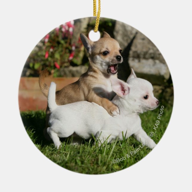 Ornement En Céramique Jeu de chiot de chiwawa (Devant)