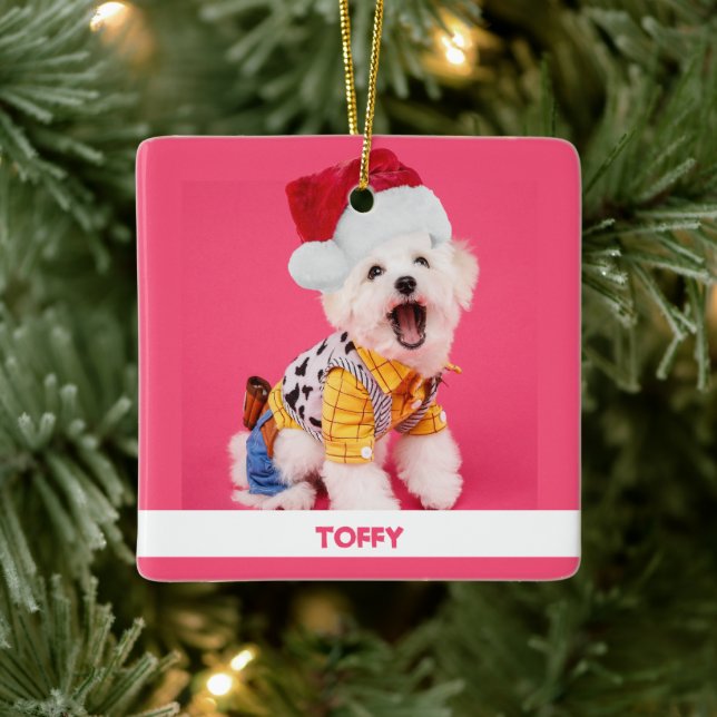 Ornement En Céramique Joli animal de Noël personnalisé (Arbre)