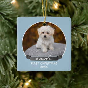 Ornement En Céramique Joli chiot bleu 1er Noël Photo de chien
