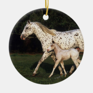 Ornement En Céramique Jument et poulain d'Appaloosa dans le domaine