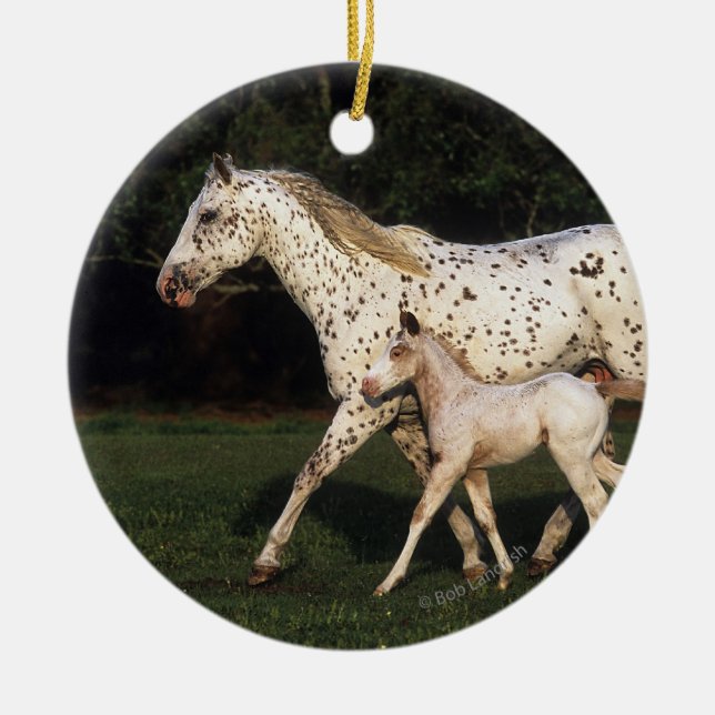 Ornement En Céramique Jument et poulain d'Appaloosa dans le domaine (Devant)