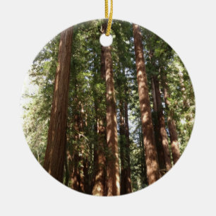 Ornement En Céramique Jusqu'aux séquoias II à Muir Woods National Monume