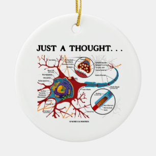 Ornement En Céramique Juste une pensée… (neurone/synapse)
