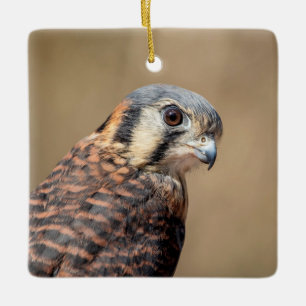 Ornement En Céramique Kestrel américain