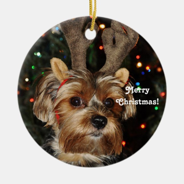 Ornement En Céramique Klaxons Yorkshire Terrier, Joyeux Noël de renne ! (Devant)