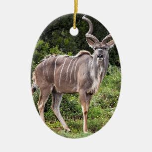 Ornement En Céramique Kudu.