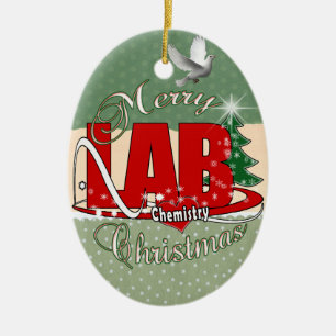 ORNEMENT EN CÉRAMIQUE LAB CHIMIE NOËL