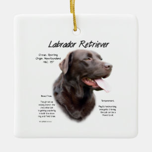 Ornement En Céramique Labrador Retriever (chocolat) Histoire Conception