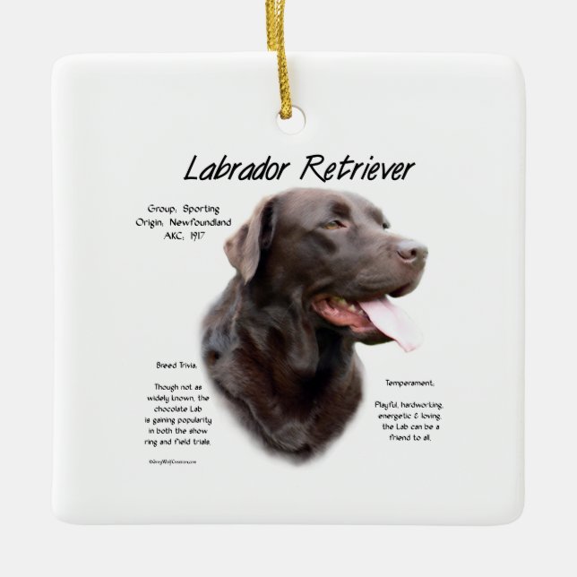Ornement En Céramique Labrador Retriever (chocolat) Histoire Conception (Devant)