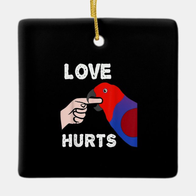 Ornement En Céramique L'amour fait mal aux femmes Eclectus Parrot (Devant)