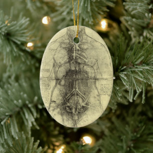 Ornement En Céramique L'anatomie humaine de Léonard de Vinci, Torse fémi