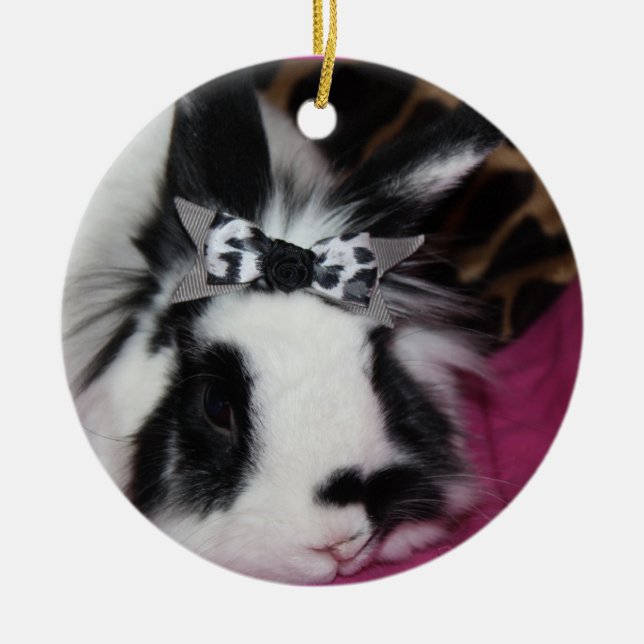 Ornement En Céramique Lapin avec l'ornement d'arc (Devant)