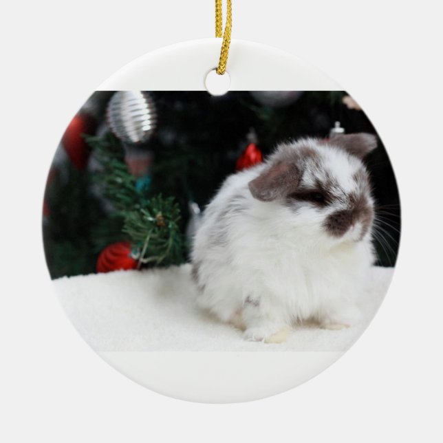 Ornement En Céramique Lapin de Noël (Devant)