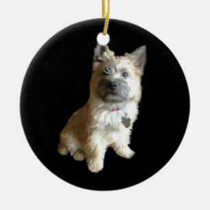 Ornement En Céramique Le cairn Terrier le plus mignon jamais !  Plus