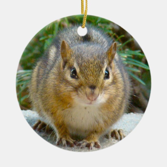 Ornement En Céramique Le Cute Chipmunk A L'Oeil Sur Vous (Devant)