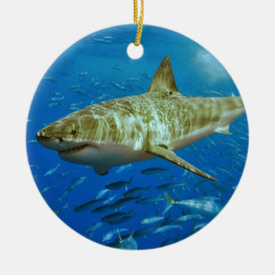 Ornement En Céramique Le grand Carcharias de Carcharodon de requin blanc
