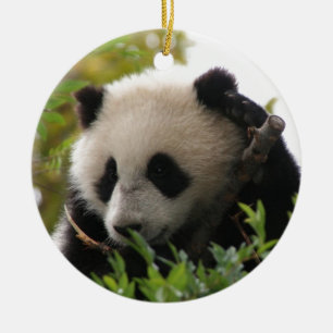 Ornement En Céramique Le Su Lin, petit animal d'ours panda géant au zoo