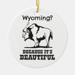 Ornement En Céramique Le Wyoming ? Parce que c'est beau
