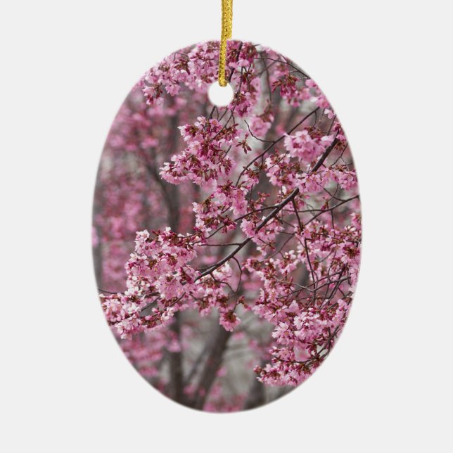 Ornement En Céramique Les fleurs de cerisiers Sakura sont roses (Devant)