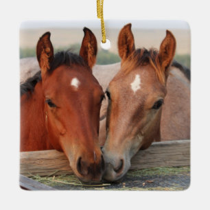 Ornement En Céramique Les mignons amis du poulain du cheval