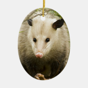 Ornement En Céramique Les opossums sont jolis - opossum Didelphimorphia