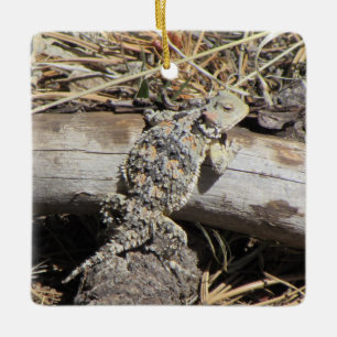Ornement En Céramique Lézard à cornes