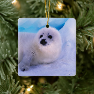 Ornement En Céramique Little Harp Seal Pup Covered in Snowflakes