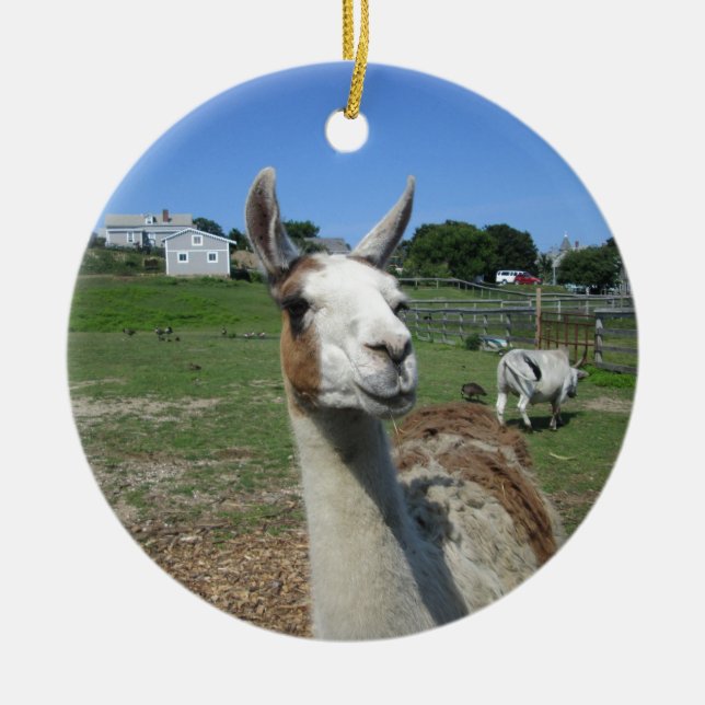 Ornement En Céramique Llama (Devant)