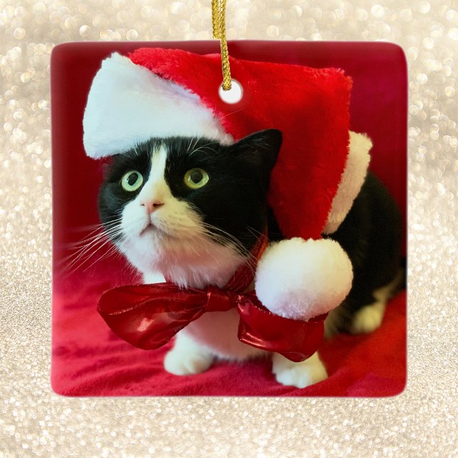 Ornement En Céramique L'ornement de Noël apprend le chat Tuxedo (Créateur téléchargé)