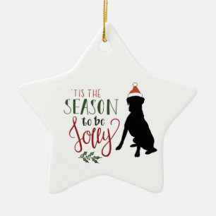 Ornement En Céramique L'ornement de Noël de chien en forme de boîte étoi